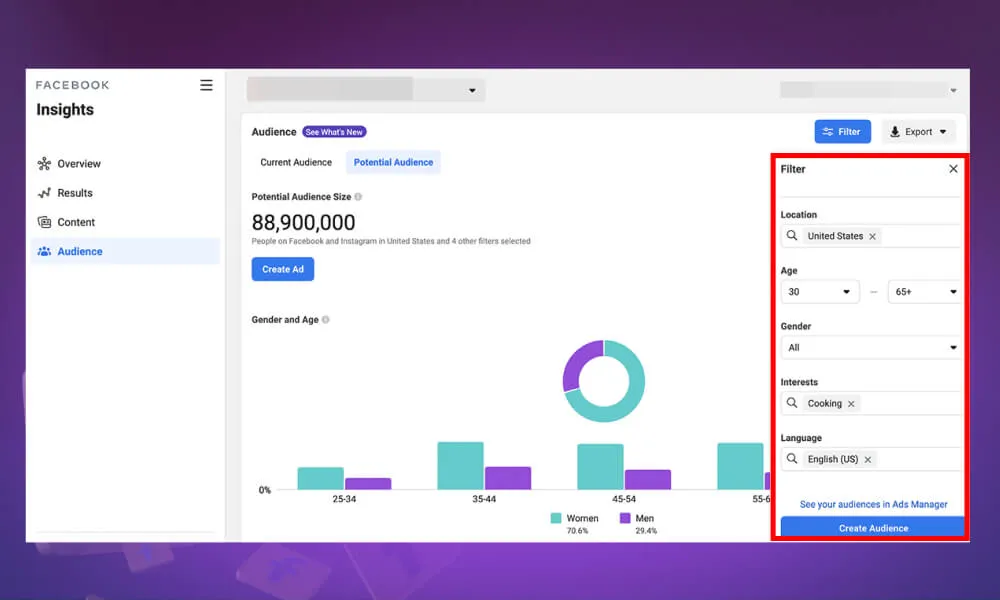 Giao diện và các thao tác cơ bản trên Facebook Audience Insight