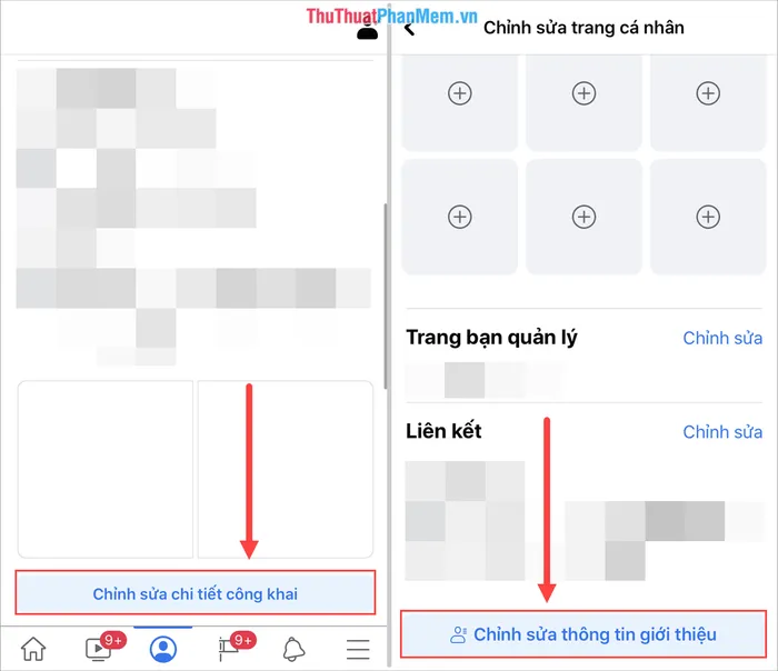 Hình ảnh hiển thị tùy chọn Chỉnh sửa chi tiết công khai và Chỉnh sửa thông tin giới thiệu trên ứng dụng Facebook di động