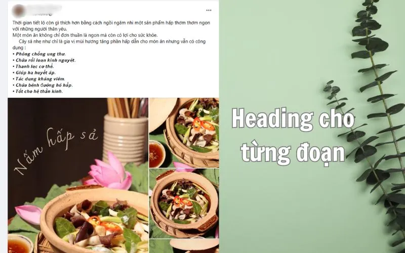 Hình ảnh minh họa cho việc sử dụng tiêu đề phụ/heading để phân tách và giúp nội dung dễ theo dõi, là một phần quan trọng của cách tạo bài viết đẹp trên Facebook