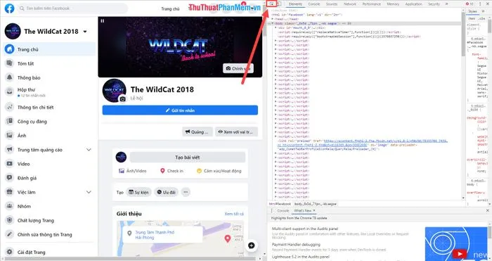 Hình ảnh minh họa chọn mục hiển thị (mũi tên trỏ chuột) trong F12