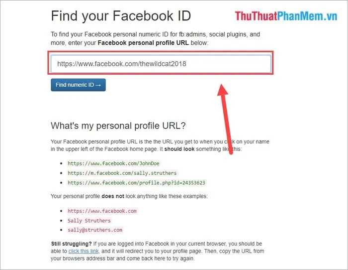 Hình ảnh minh họa dán link và nhấn nút tìm ID