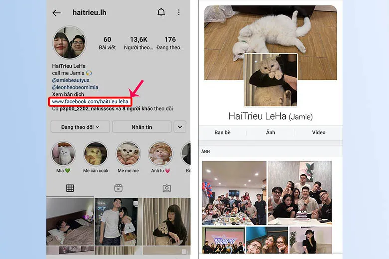 Hình ảnh tại phần Bio (Giới thiệu) của bạn bè trên Instagram