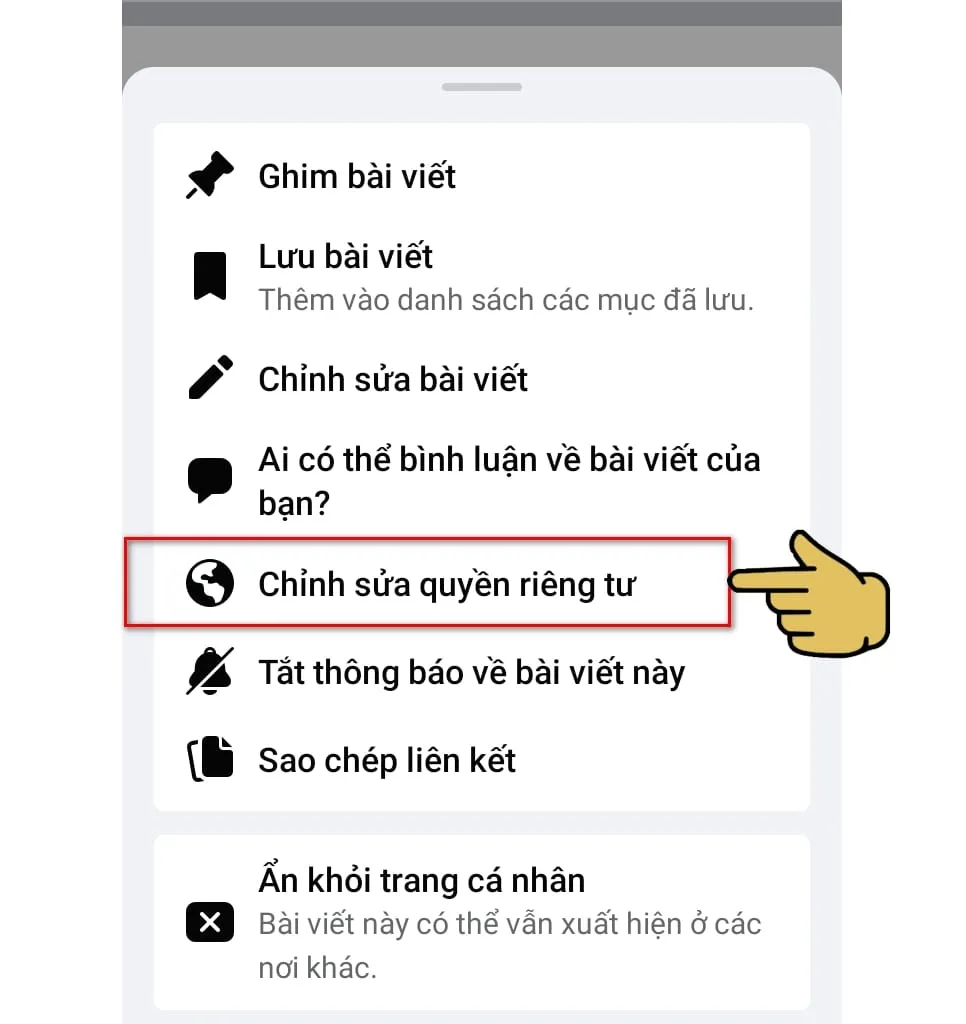 hình tích vào chỉnh sửa quyền riêng tư
