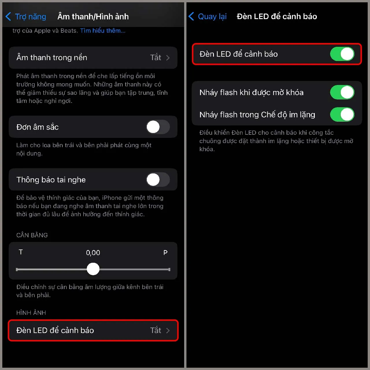 Kích hoạt tính năng Đèn LED để cảnh báo trong mục Âm thanh/Hình ảnh khi thực hiện cách cài đèn nháy cho iPhone 6s Plus