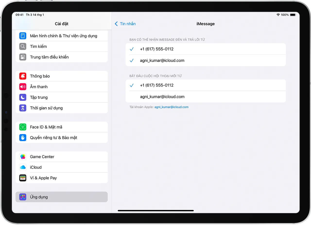Màn hình cài đặt FaceTime và Tin nhắn iMessage trên iPadOS, kiểm tra các địa chỉ liên lạc