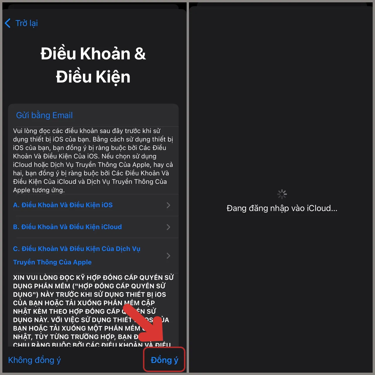 Màn hình Điều Khoản & Điều kiện