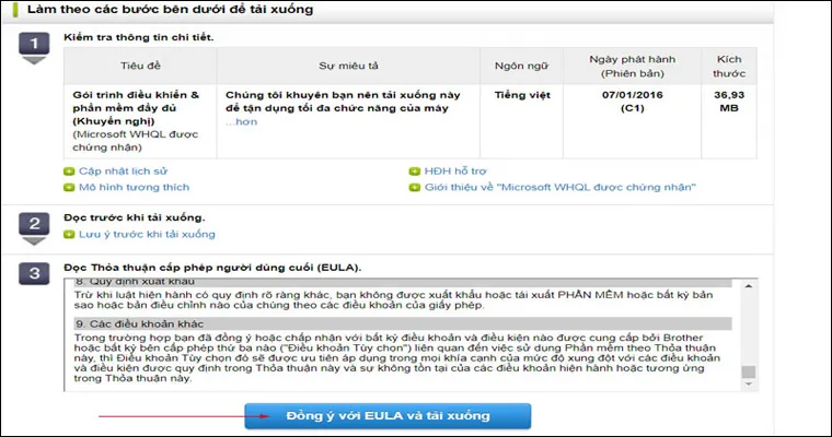 Màn hình hiển thị các điều khoản và chính sách trước khi tải driver, người dùng nhấn Đồng ý