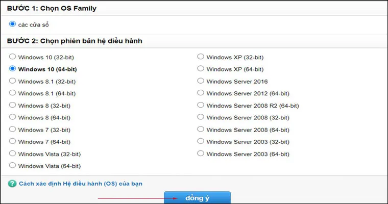 Màn hình lựa chọn phiên bản hệ điều hành máy tính để tải driver tương thích