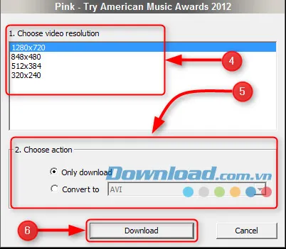 Màn hình tùy chọn độ phân giải video đầu ra khi download video Dailymotion chất lượng cao