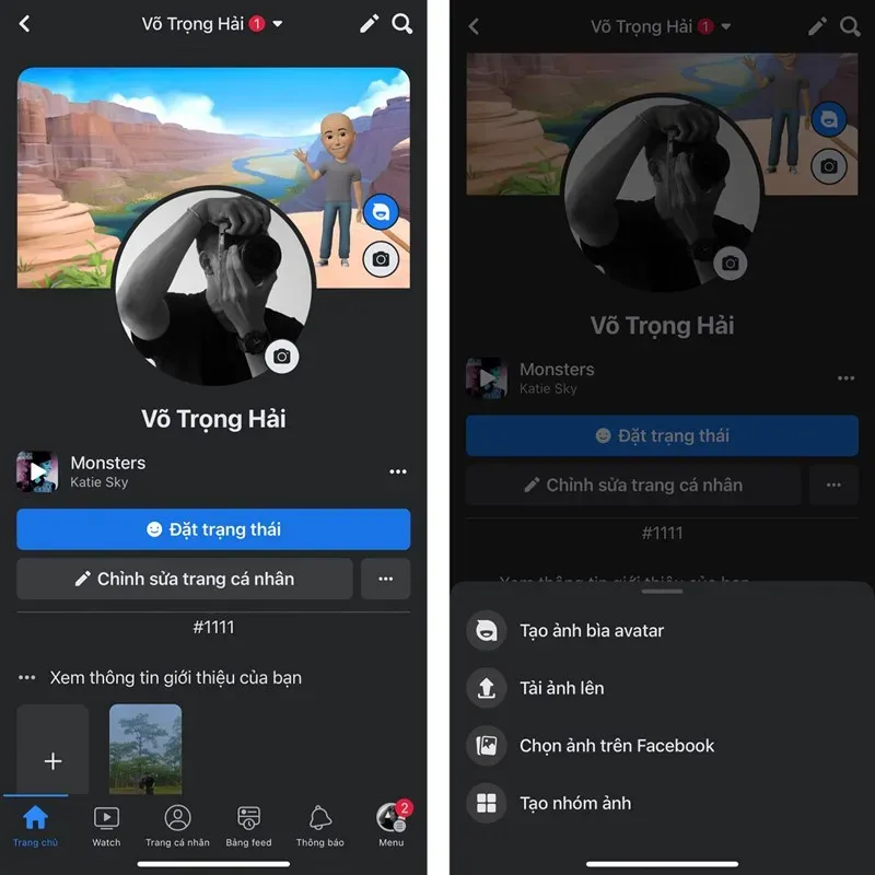 Mẫu ảnh bìa chuyên nghiệp được tạo từ Avatar Facebook