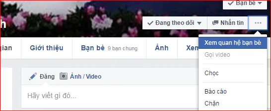Menu ba chấm '...' và tùy chọn Xem quan hệ bạn bè trên profile cá nhân