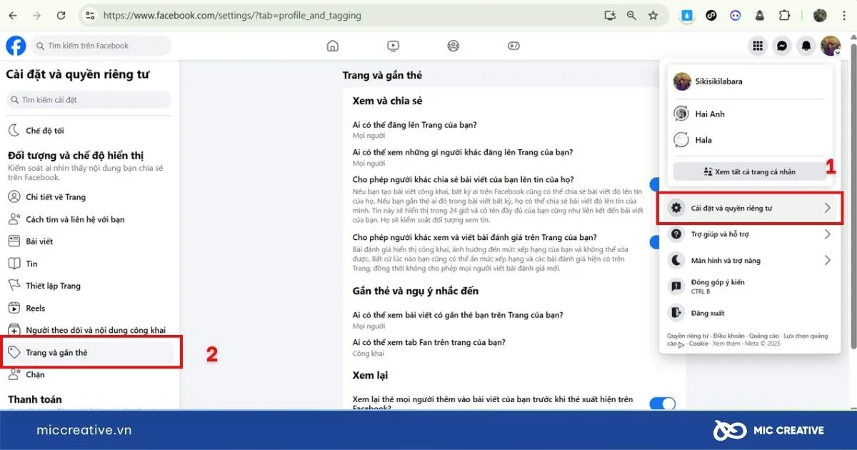 Minh họa giao diện cài đặt Đối tượng và chế độ hiển thị trên Fanpage