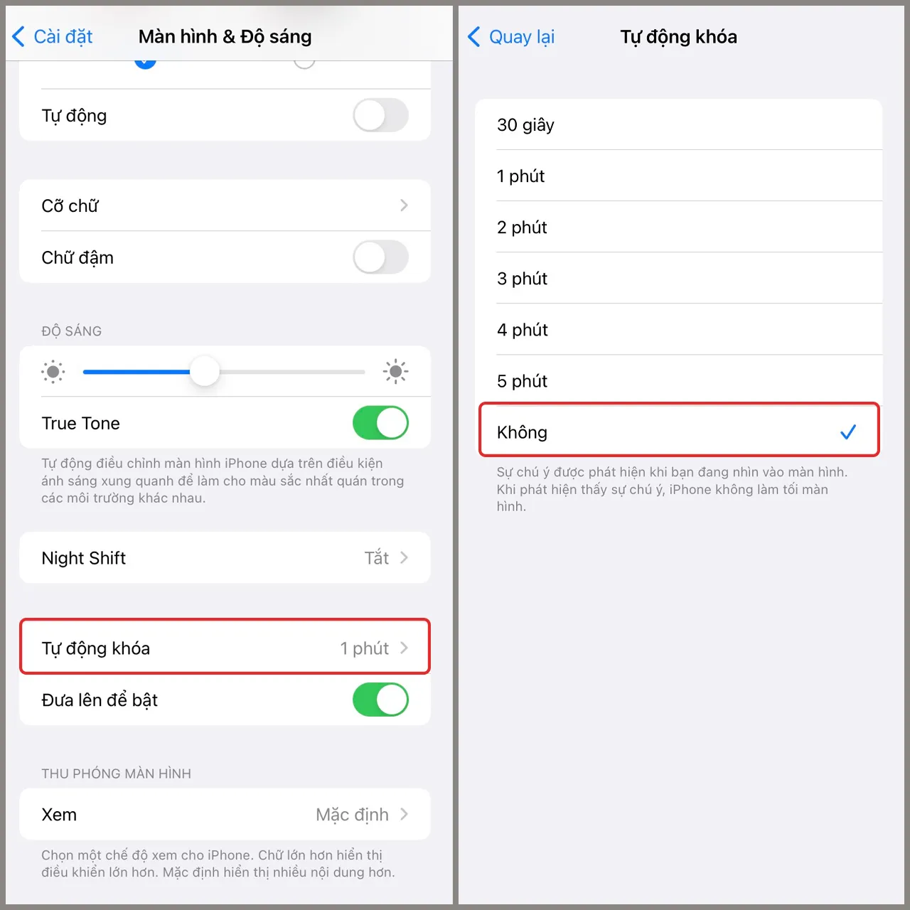 Mục Tự động khóa giúp điều chỉnh cách cài đặt thời gian sáng màn hình iPhone
