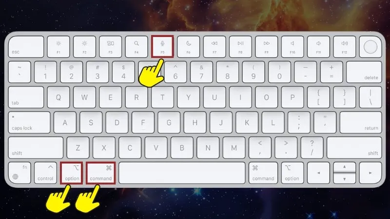 Nhấn tổ hợp phím Option + Command + F5
