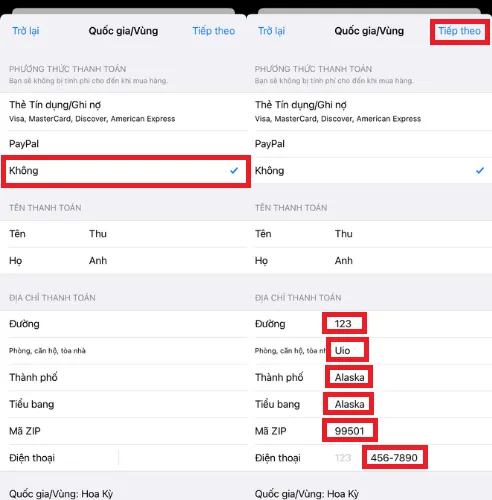 Nhập thông tin thanh toán giả và địa chỉ tại Hoa Kỳ để hoàn tất việc đổi vùng cài Google Earth