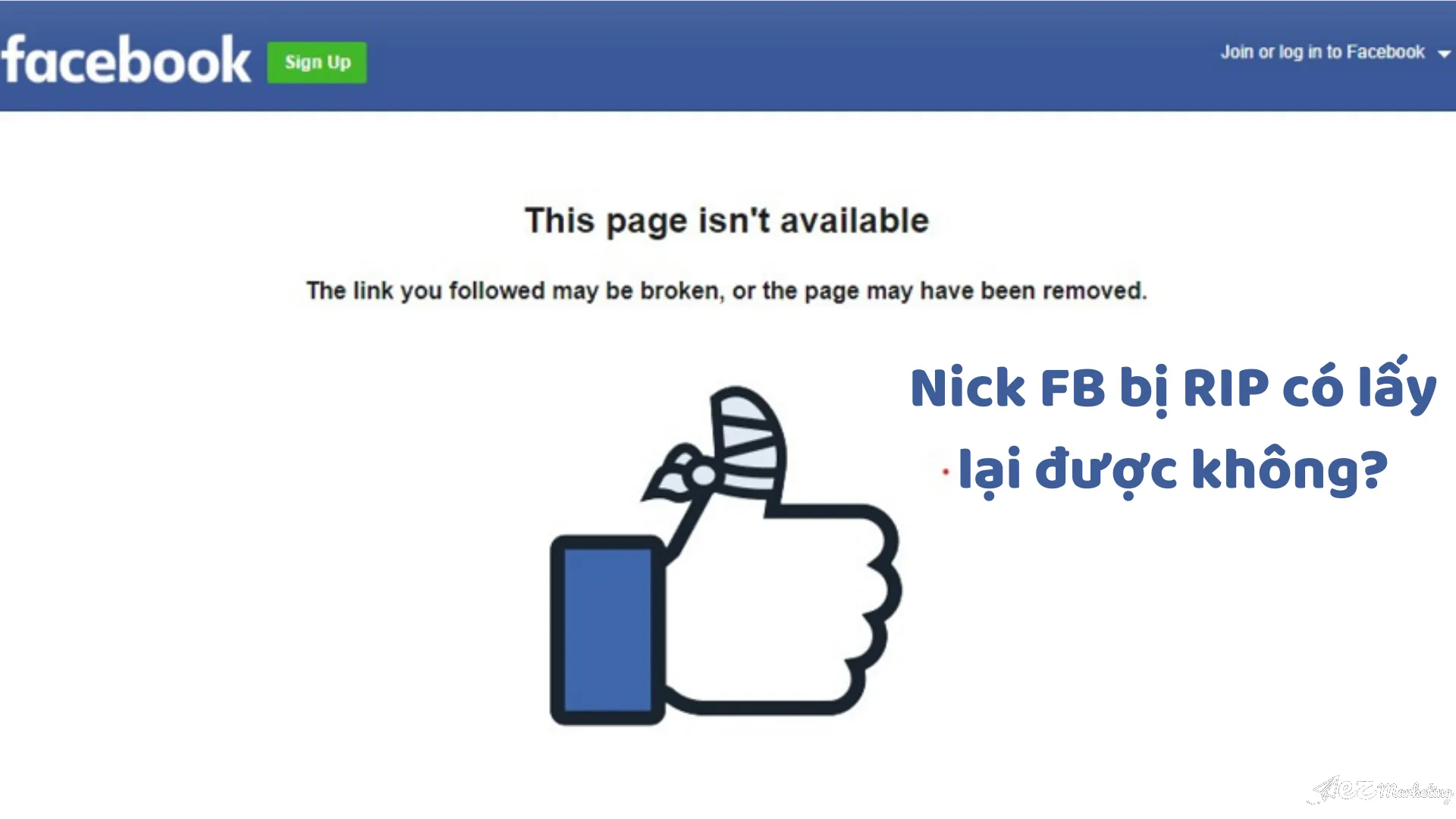 cách rip nick facebook người khác: Phân Tích Cơ Chế Báo Cáo và Bảo Vệ Tài Khoản An Toàn Toàn Diện