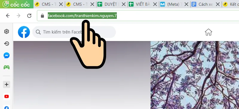 Sao chép đường link trang cá nhân Facebook từ trình duyệt