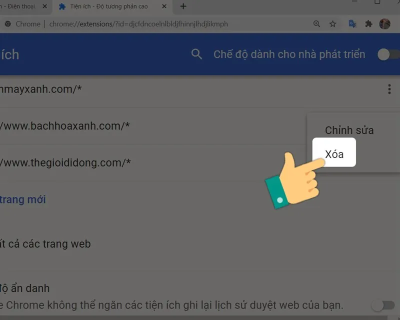 Sử dụng biểu tượng ba chấm bên cạnh địa chỉ web đã cấp quyền để quản lý hoặc thu hồi quyền truy cập của tiện ích