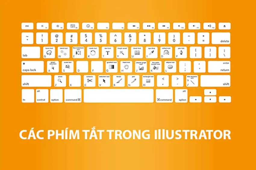 Sử dụng bộ phím tắt thông minh để thao tác nhanh hơn trong Illustrator