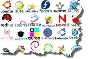 Cách Cài Đặt Hệ Điều Hành Linux Toàn Diện: Hướng Dẫn Chi Tiết Từ A-Z cho Mọi Cấp Độ Người Dùng