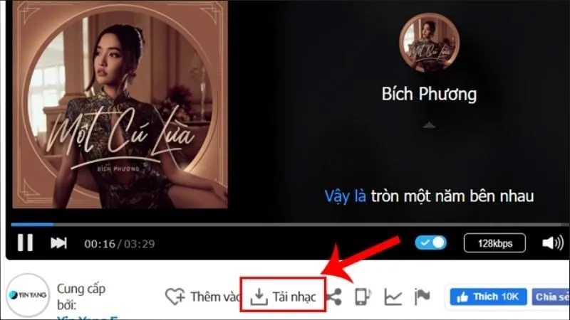 Hướng Dẫn Cách Tải Video Trên Nhaccuatui Về Máy Tính: Phương Pháp Chính Thống và Giải Pháp Thay Thế Hiệu Quả Nhất