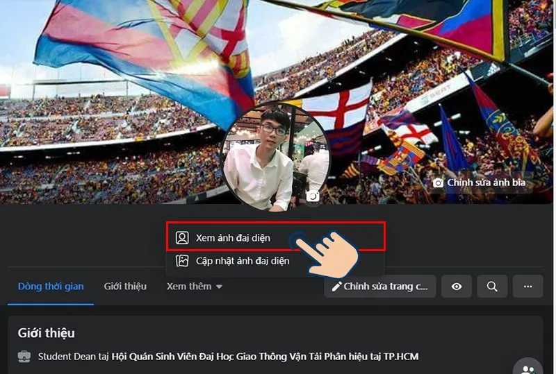 Tiếp theo chọn vào Xem ảnh đại diện
