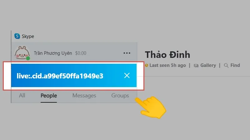 Tìm kiếm và kết nối sau khi bạn đã thực hiện cách đổi skype name live thành công