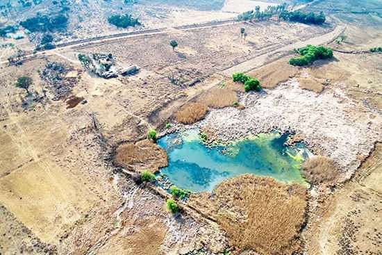 Tính năng quản lý mật khẩu có sẵn trên trình duyệt Chrome