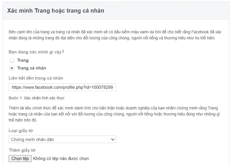 Xách minh tích xanh trang cá nhân