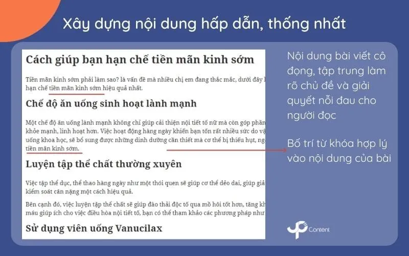 Bài viết chuẩn SEO mẫu với nội dung hấp dẫn