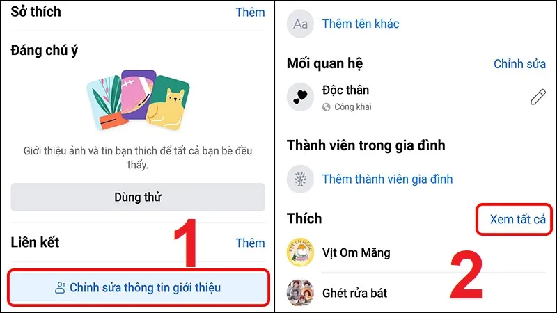 Bước 2 Mobile: Chỉnh sửa thông tin giới thiệu và tìm đến mục Thích