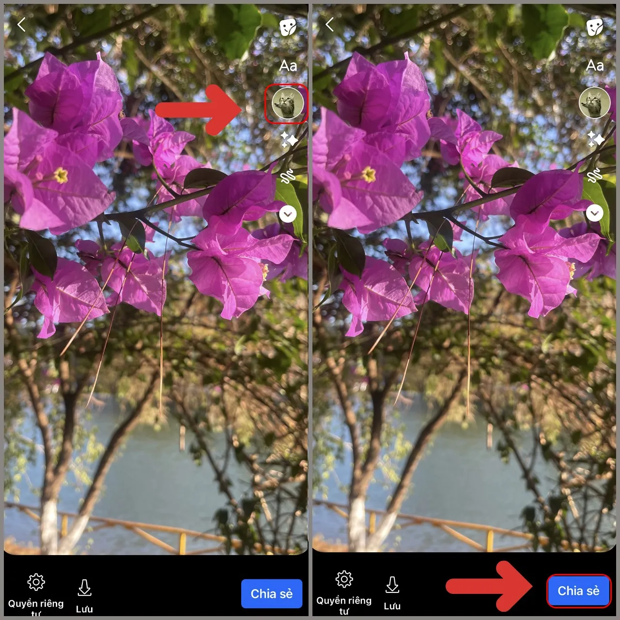 Giao diện story sau khi chèn nhạc và nút Chia sẻ để đăng tải lên facebook