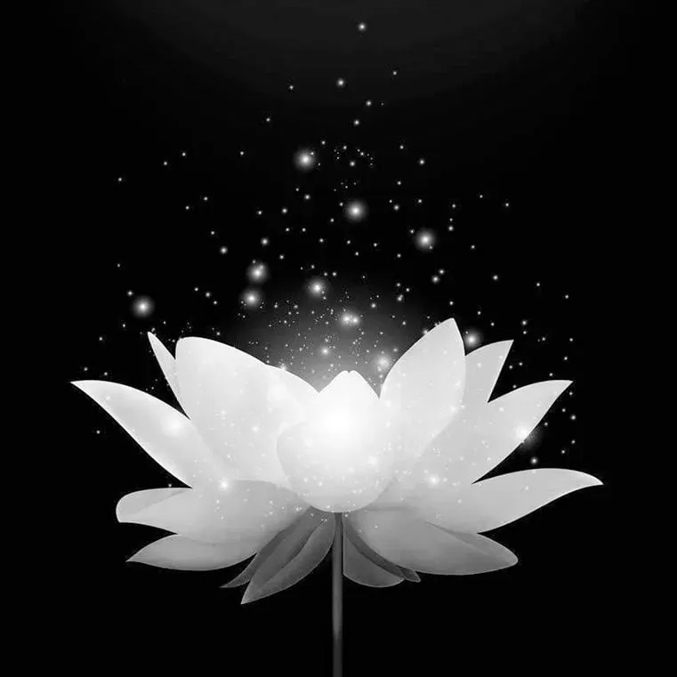 cách làm nền facebook màu đen: Hướng Dẫn Toàn Diện về Chế Độ Tối và Nghi Thức Ảnh Đại Diện Tang Lễ