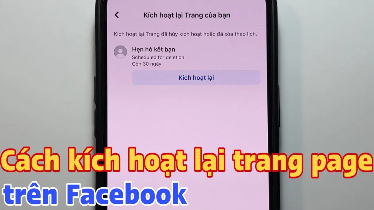 Cách Kích Hoạt Lại Tài Khoản Facebook Bị Khóa, Bị Vô Hiệu Hóa Chi Tiết 2025