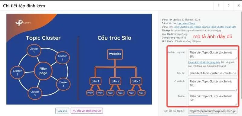 Mô tả đầy đủ và chính xác nội dung hình ảnh