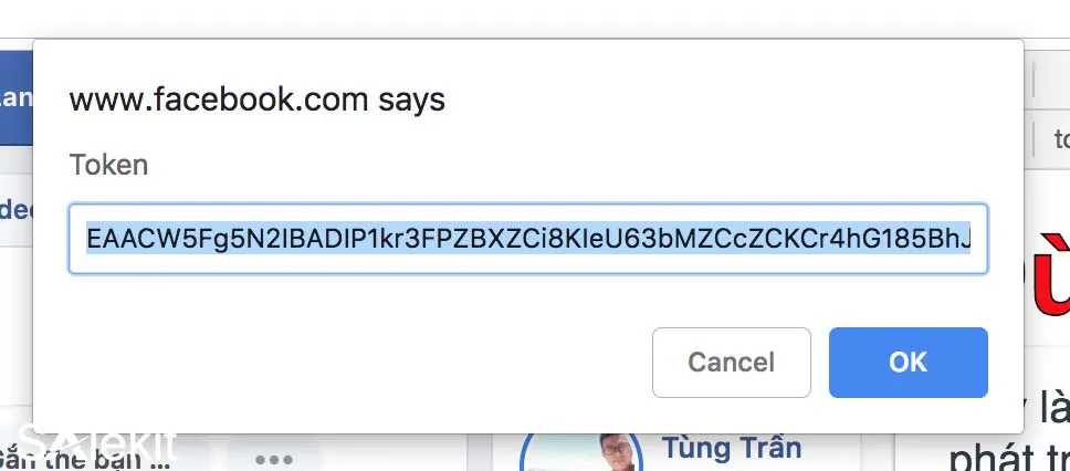 Một ví dụ minh họa popup xuất hiện để sao chép mã Token Facebook