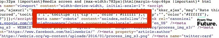 Sử dụng thẻ robots sai mục đích