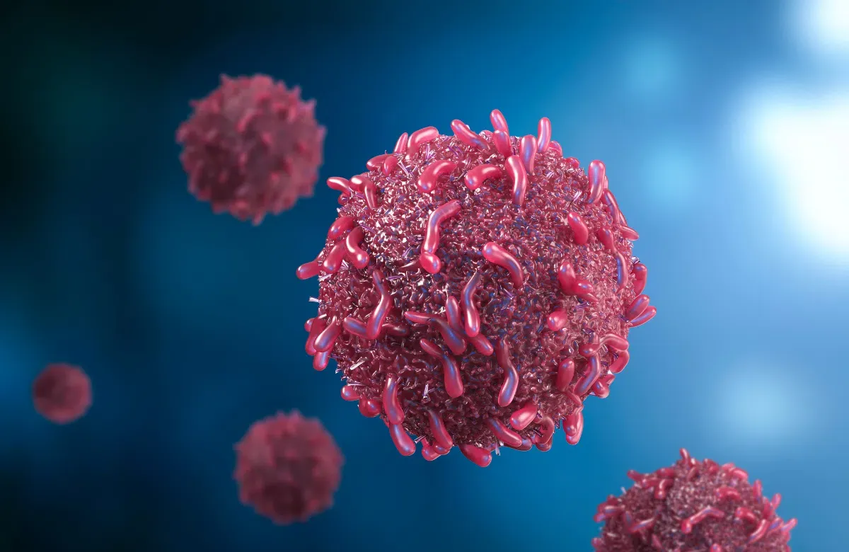 cách làm đang hẹn hò trên facebook: Cẩm Nang Toàn Diện Về Chanh Dây (Passion Fruit) và Sức Khỏe