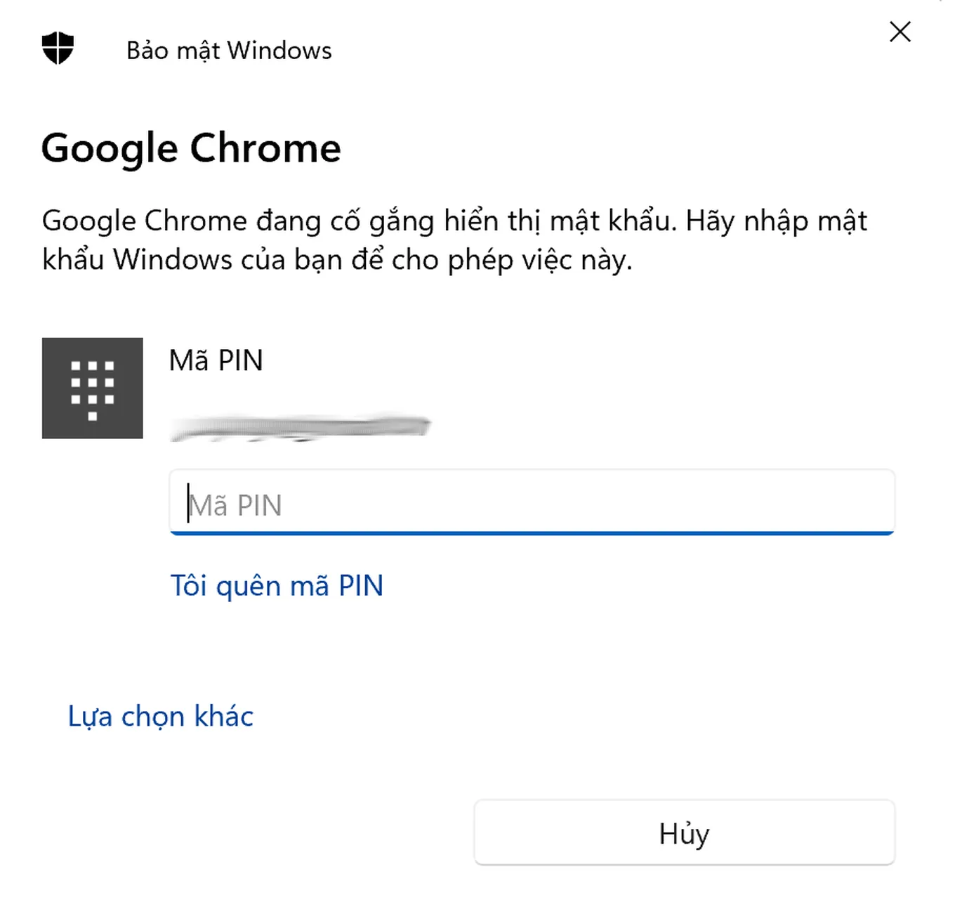 Yêu cầu nhập mã PIN hoặc mật khẩu Windows/Mac để xác nhận quyền truy cập mật khẩu Facebook đã lưu